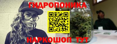 скорость Будённовск