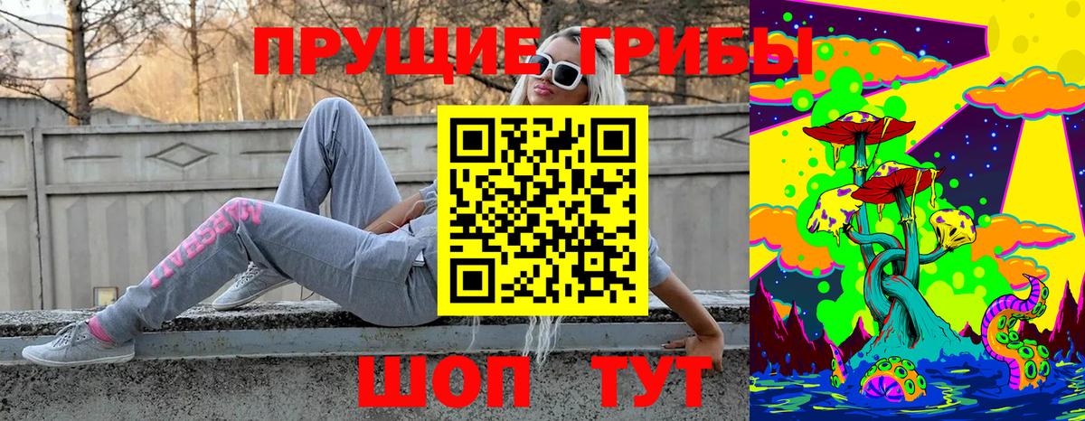 Псилоцибиновые грибы мицелий Моздок
