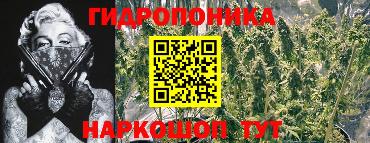 Конопля индика  Шишки марихуана SATIVA & INDICA  МАРИХУАНА VHQ  Вход с VPN  Моздок 